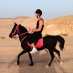 sunrise horse riding hurghada