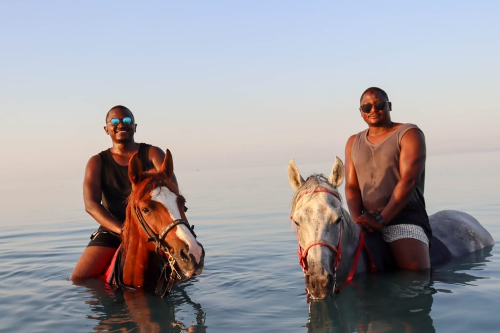 Schwimmen mit Pferden – Ein einzigartiges Abenteuer