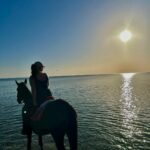 WhatsApp Image 2025-10-31 at 2.09.20 PM