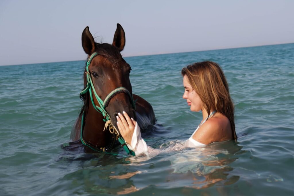 How We Care for Our Horses