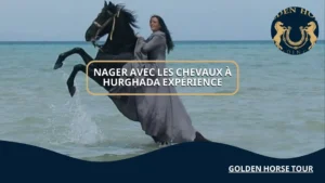 Nager avec les chevaux à Hurghada expérience