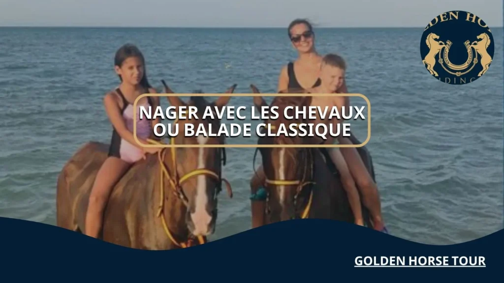 Nager avec les chevaux ou balade classique
