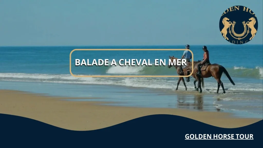 balade a cheval en mer