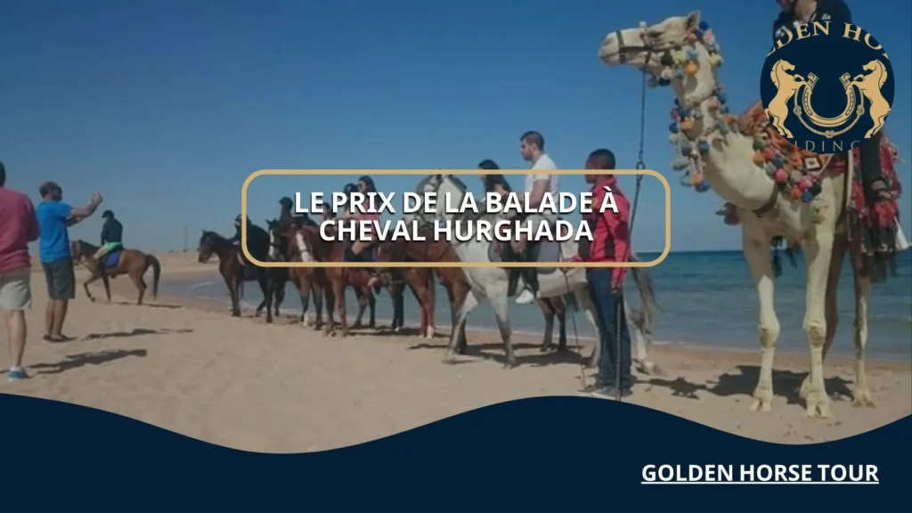 le prix de la balade à cheval Hurghada